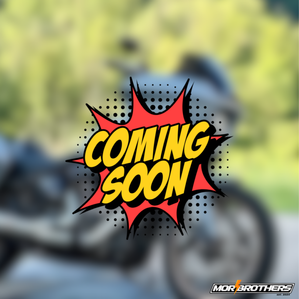 Harley Davidson Low Rider ST 117